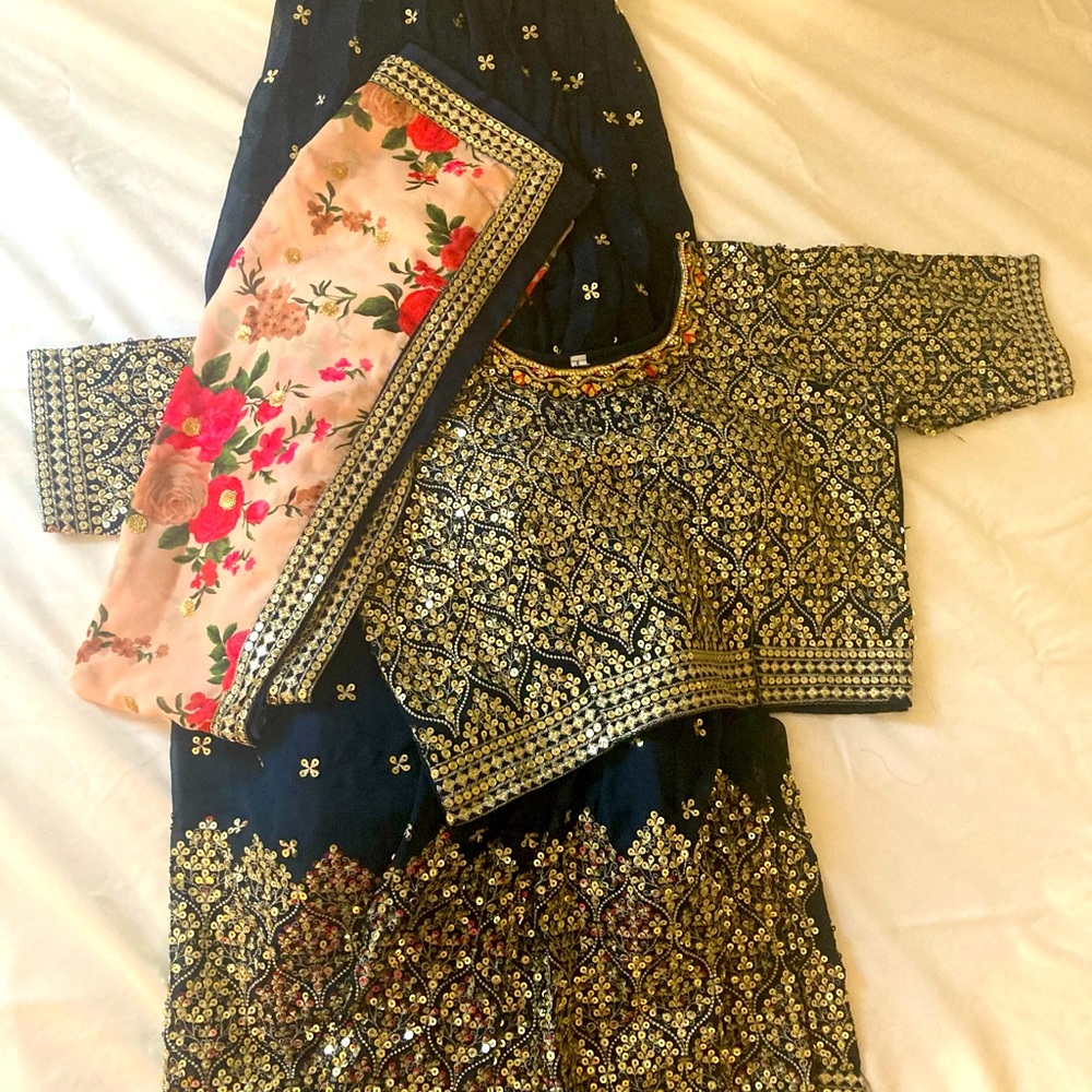 Diwali Traditional Indian Woman’s Sari, Indian wedding. Indian bridal dress.
